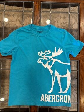 abercrombie kids Bright Turquoise Tee with Neck Logo